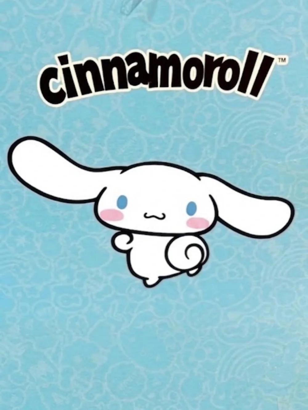 Sanrio Cinnamoroll RC Skateboarding Remote Control Figure Toy New in Box NIB